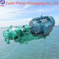 Marine Fuel Oil Pump999.jpg